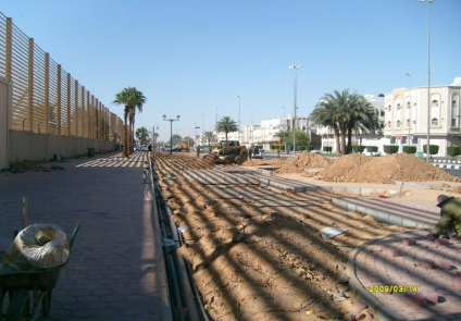 تنسيق حدائق تبوك